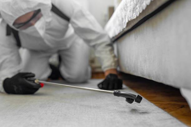 Professional Pest Control technician working in DeSoto County County, MS
